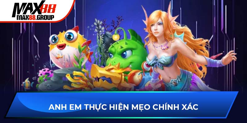 Bắn cá Max88 3 Anh em thực hiện mẹo chính xác