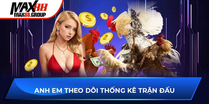 Đá gà Max88 3 Anh em theo dõi thống kê trận đấu