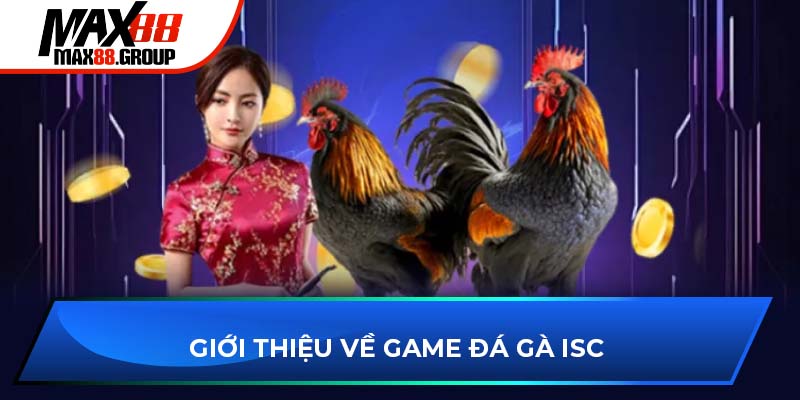 Đá gà ISC - Sảnh cược bùng cháy đam mê sư kê 2025 2 Giới thiệu về game đá gà ISC