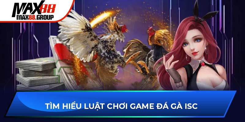 Đá gà ISC - Sảnh cược bùng cháy đam mê sư kê 2025 4 Tìm hiểu luật chơi game đá gà ISC