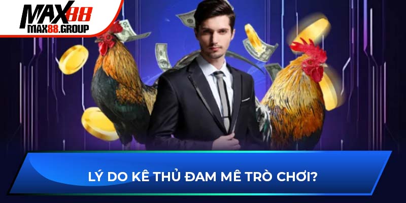 Đá gà Max88 1 Lý do kê thủ đam mê đá gà MAX88