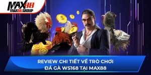 Đá gà WS168 - Sảnh game cực hot, kịch tính bậc nhất 2025 10 đá gà WS168